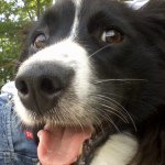 Profile Picture of Marcie Lowery (@flux151) on Instagram