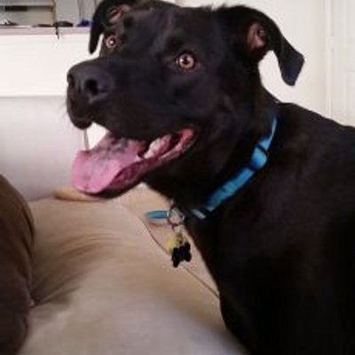 Zach Gooch - Twitter Profile Picture of Zach Gooch (@gooch_zach) on Twitter