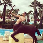 Harry Haslam - Instagram Profile Picture of Harry Haslam (@haslamharry) on Instagram