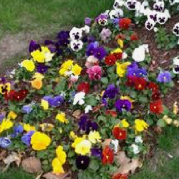 Jasmine Owens - Poshmark Profile Picture of Jasmine Owens (@jaasssmine) on Poshmark