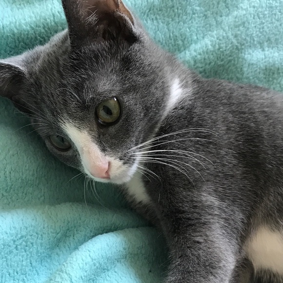 Profile Picture of Kat Mingari (@kmingari) on Poshmark