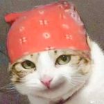 Profile Picture of Michael Tsao (@arakawaub) on Instagram