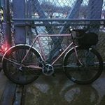 lilliematthewsd - Instagram Profile Picture of lilliematthewsd (@lilliematthewsd) on Instagram