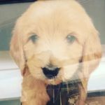 Profile Picture of buddy_ray_stauffer (@buddy_ray_stauffer) on Instagram