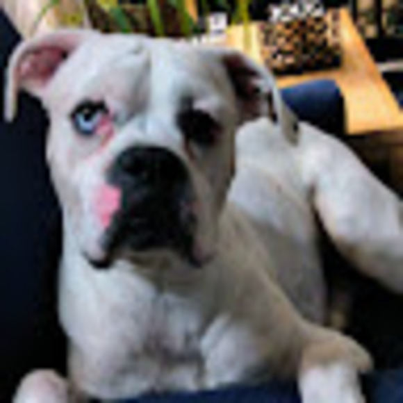 Profile Picture of Denise Clay (@deniseclay1965) on Poshmark