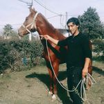 Profile Picture of Nestor Pastor (@nestor.pastor.946) on Instagram