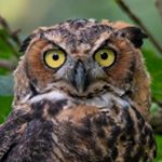 Profile Picture of Tyler Paul (@tylerpaulphotos) on Instagram