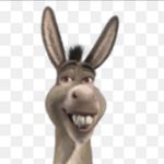 Profile Picture of The Wensleydale Grass Muncher (@joe_bruce_fanpage) on Instagram