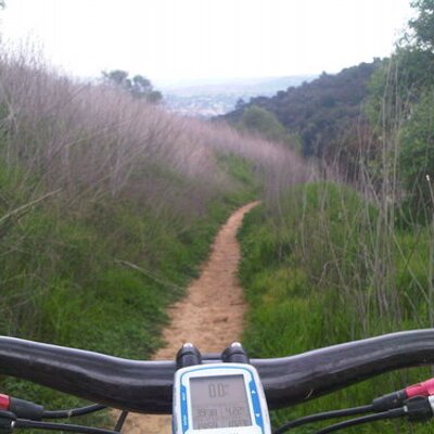 Profile Picture of Mark Rinaldi (@MarkRinaldi) on Twitter