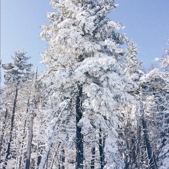 Profile Picture of Gretchen Lamkin (@lamkimmy) on Poshmark