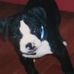Profile Picture of David Lopuszynski (@david.lopuszynski.7) on Facebook