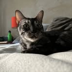 Profile Picture of Eric Wrolstad (@eric.wrolstad) on Facebook