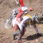 Adão Saul Tissot - Instagram Profile Picture of Adão Saul Tissot (@adaosaul.tissot) on Instagram