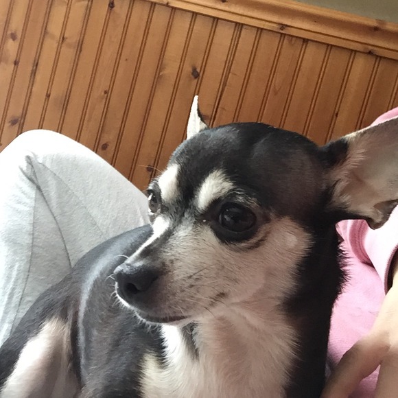 Quinn Gray - Poshmark Profile Picture of Quinn Gray (@qlgrau) on Poshmark