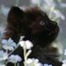 Profile Picture of Vicki Thurmond Amick (@vicki.t.amick) on Facebook