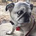 Profile Picture of Beverly Weems Anderson (@bev112tx) on Pinterest