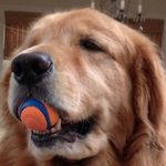 Profile Picture of Brian Mulvaney (@briangmulvaney) on Instagram
