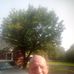 Profile Picture of Richard Fields (@richard.fields.77736) on Facebook