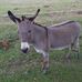 Profile Picture of David Spurling (@david.spurling.522) on Facebook
