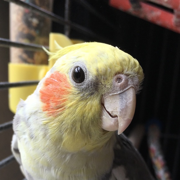 Profile Picture of Luz Diaz (@lmdagd) on Poshmark