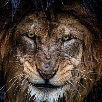 Profile Picture of Stephen Carty (@Stephen_Carty) on Twitter