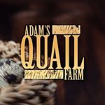 Profile Picture of Adam's Quail Farm (@adamsquailfarm) on Instagram