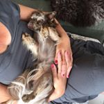 Profile Picture of Christa Post (@postchrista) on Instagram