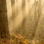 Mike Lloyd - Instagram Profile Picture of Mike Lloyd (@mlloyd4075) on Instagram