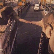 Profile Picture of Sandro Stecchini (@Nenno3061) on Youtube