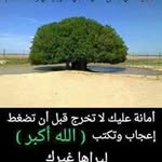 Profile Picture of fouad.mourad (@fouad.mourad) on Instagram