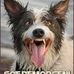 Profile Picture of Kim Degroot (@kim.degroot.1690) on Facebook