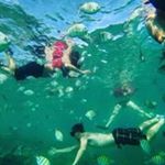 Profile Picture of Michael Wagy (@michaelwagy) on Instagram