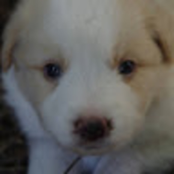 Abi Churches - Poshmark Profile Picture of Abi Churches (@abichurches) on Poshmark