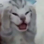 Profile Picture of Alex Savedra  (@Dps_rdh) on Youtube