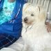 Profile Picture of Joseph Koteles (@joseph.koteles.3) on Facebook