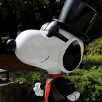 Profile Picture of Tomas Simes (@Tomas-Simes) on Facebook