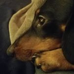 Profile Picture of Instagrum (@jessie.barbour) on Instagram