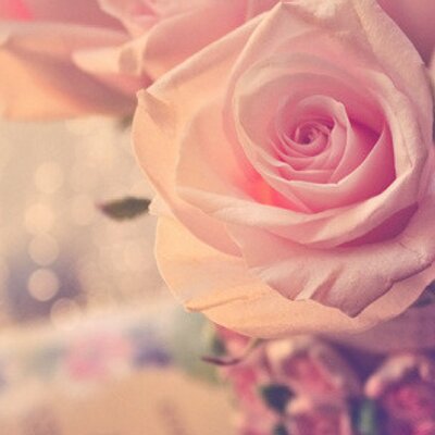 Profile Picture of JIEUN CHUNG (@liliroi) on Twitter