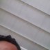 Profile Picture of Alfredo Preciado (@0752cb8ccf4a4fa) on Twitter