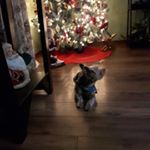 Profile Picture of kevin seabrook (@kev1960me) on Instagram