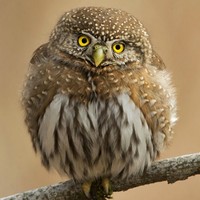 Steven Shen - Quora Profile Picture of Steven Shen (@steven-shen-30) on Quora