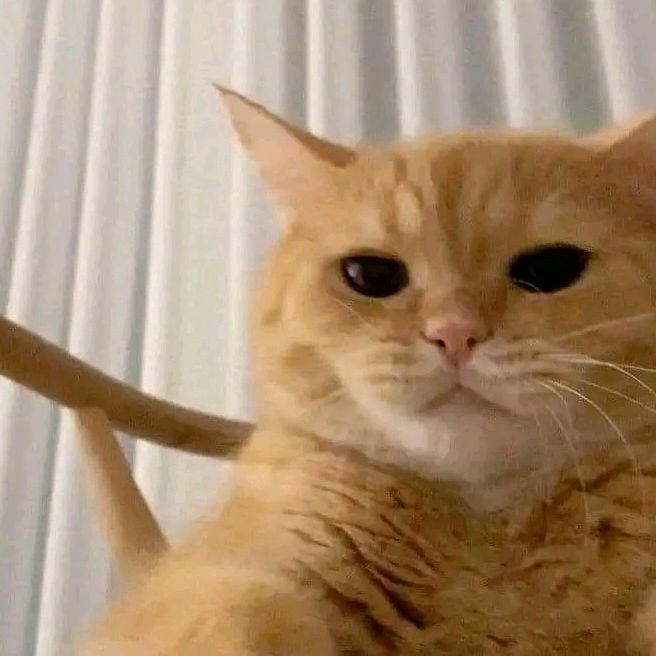 Profile Picture of Sanchang (@sanchg26) on Tiktok