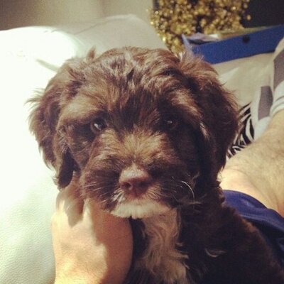 Basil Robinson - Twitter Profile Picture of Basil Robinson (@BasilRobinson25) on Twitter