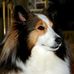 Profile Picture of Kim Hinter (Kim Forinash Hinter) (@kim.hinter) on Facebook