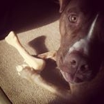 Profile Picture of Jerry lindström (@jerrylindstrom.33) on Instagram