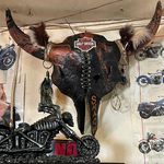 Profile Picture of Michelle Skeeter (@maskeeter63) on Instagram