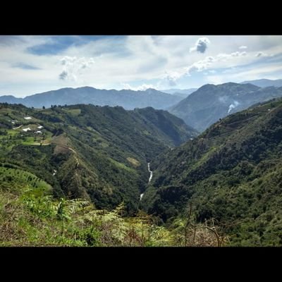 Profile Picture of Guillermo Botero (@Gilbot85) on Twitter