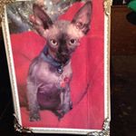 Profile Picture of Cathy Deng (@cathydeng7) on Instagram