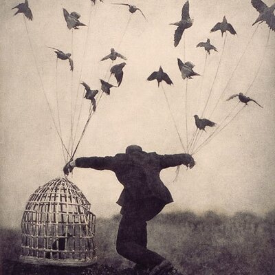 Profile Picture of Andrew Gottlieb (@@agottlieb) on Twitter