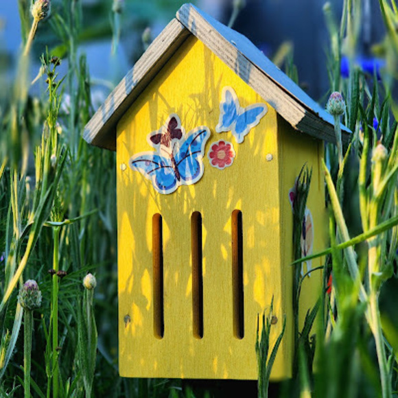 Profile Picture of Justin Toller (@jtoller821) on Poshmark